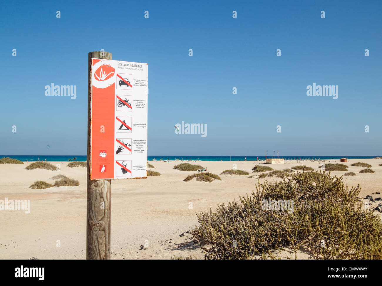 Kitesurfer auf Flagge am Strand in Parque Natural de Las Dunas de Corralejo auf Fuerteventura, Kanarische Inseln, Spanien. Stockfoto