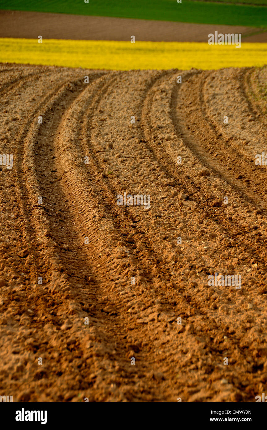 Furchen in ein gepflügtes Feld Stockfoto