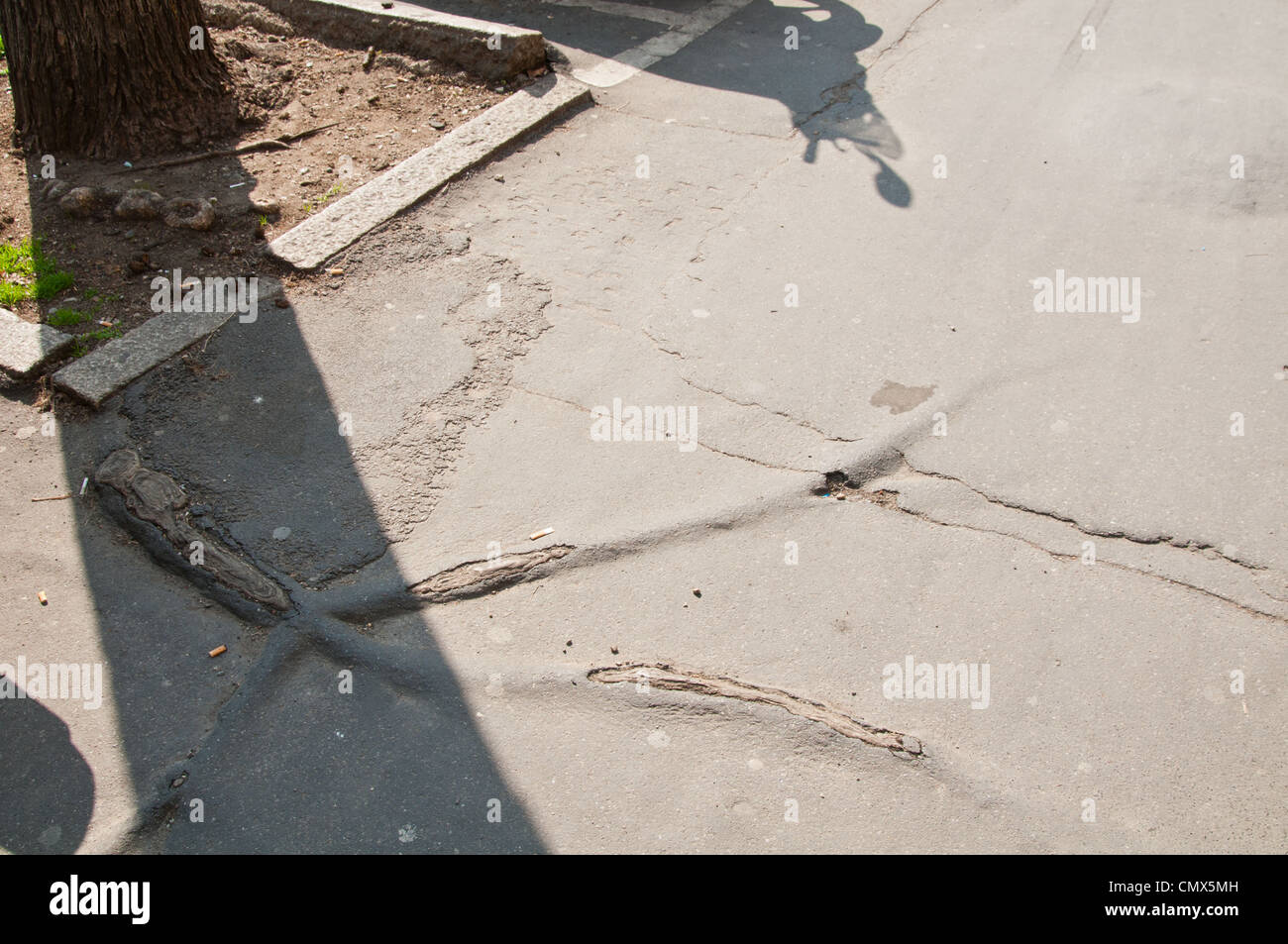 Sch den Durch Baumwurzeln Ein Stadt Pflaster Gehweg Stockfotografie sch-den-durch-baumwurzeln-ein-stadt-pflaster-gehweg-stockfotografie