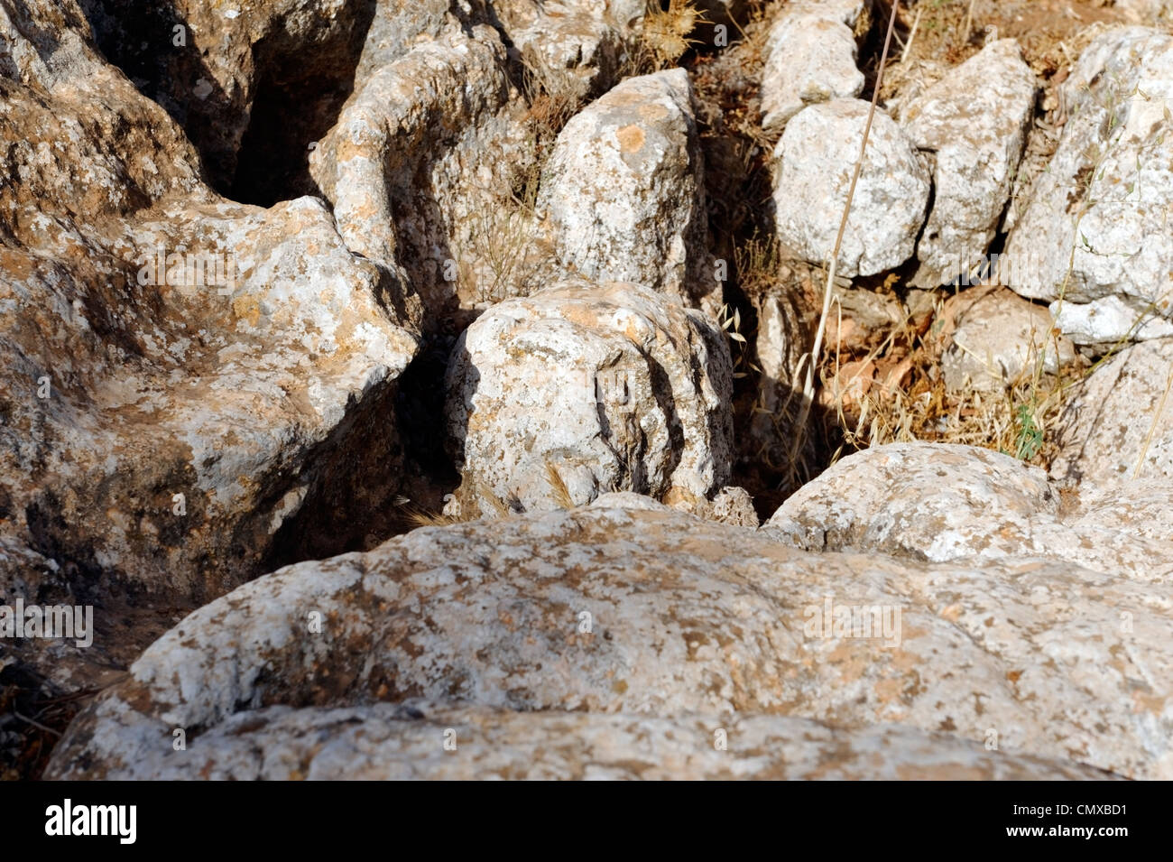 Slonta. Libyen. Blick auf den einzigartigen Felsen Skulpturen auf einen religiösen Kult Heiligtum von den Eingeborenen libyschen Bevölkerung. Stockfoto