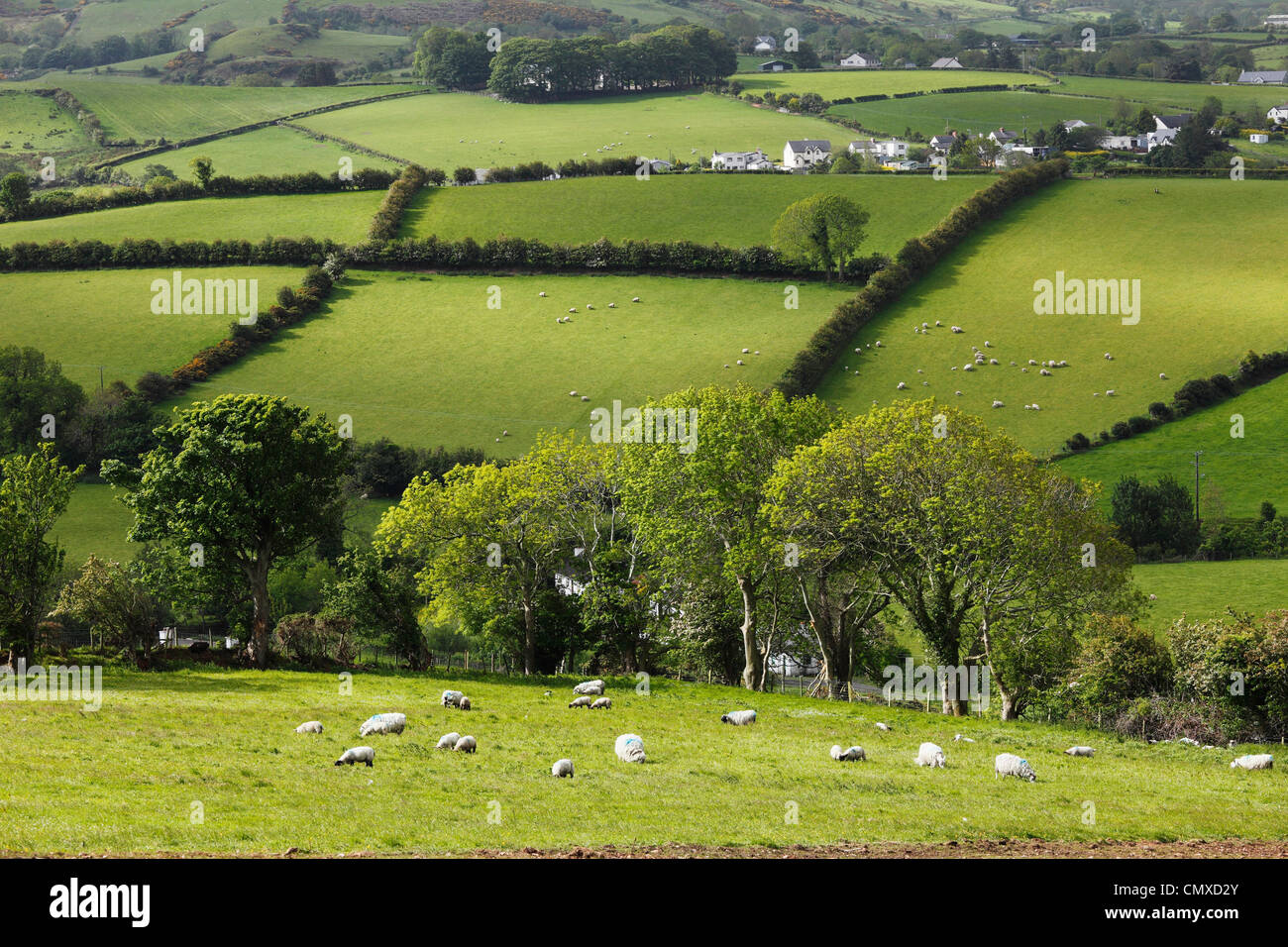 Großbritannien, Nordirland, County Antrim, Blick auf Felder Landschaft Stockfoto