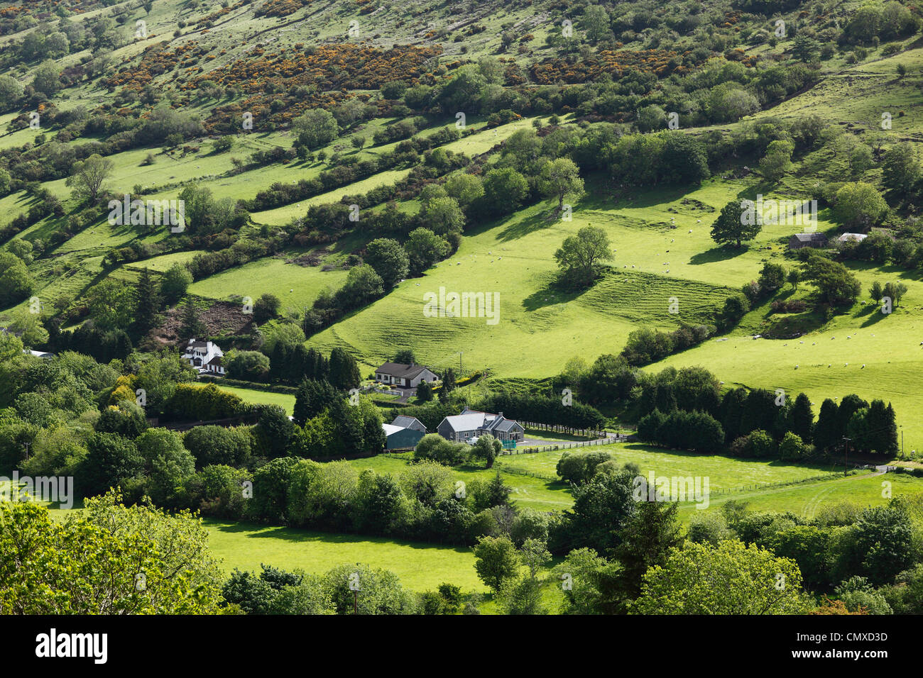 Großbritannien, Nordirland, County Antrim, Blick auf Felder Landschaft Stockfoto