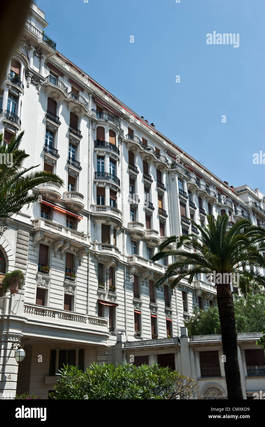 Kurze Palmen außerhalb einer Wohnung Wohnung in Nizza, Frankreich. Stockfoto