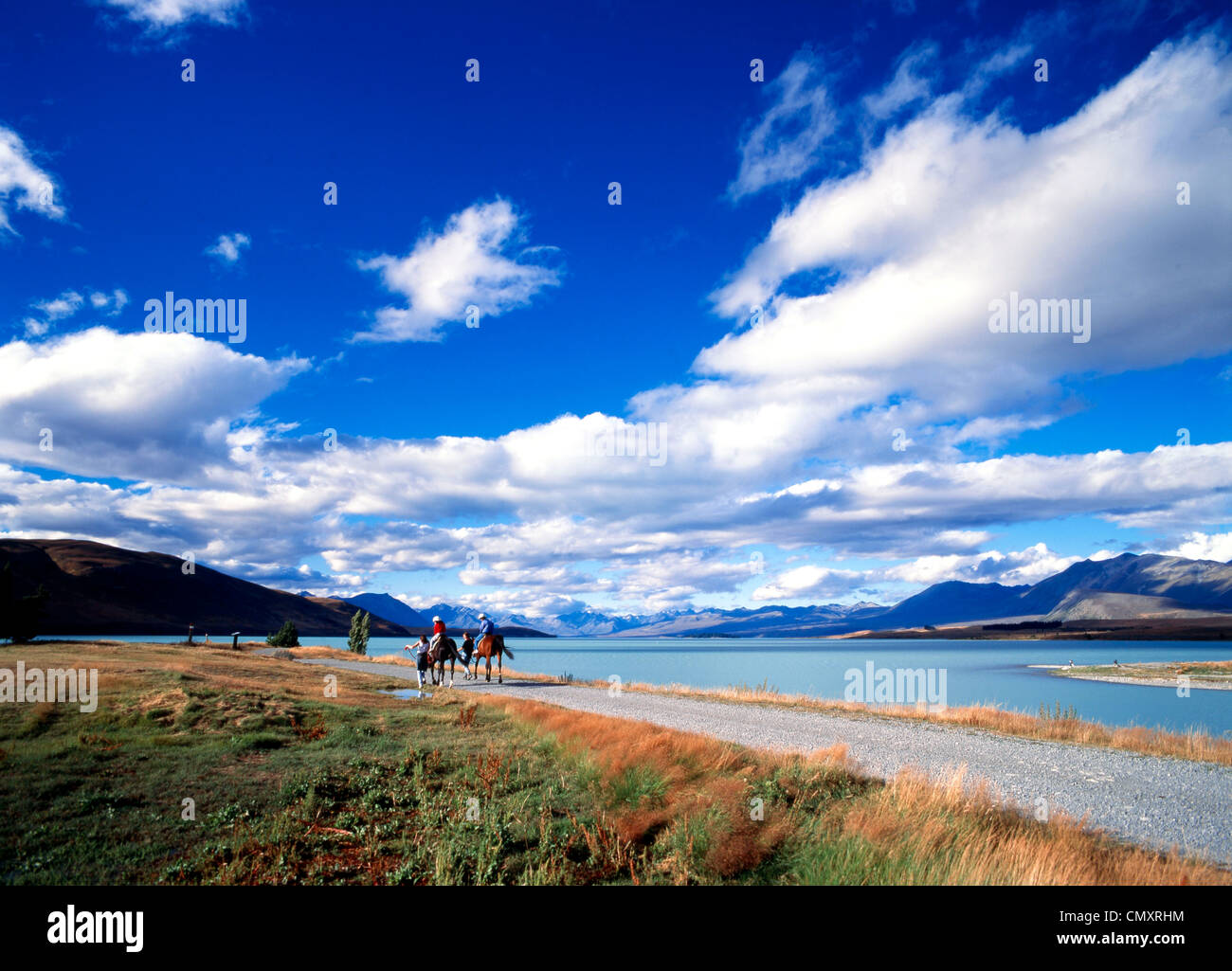 Lake Tekapo, Neuseeland Stockfoto