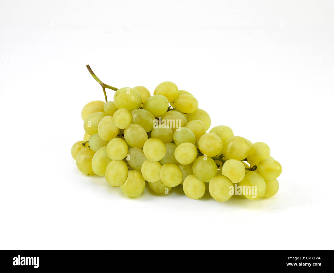 Traube Stockfoto