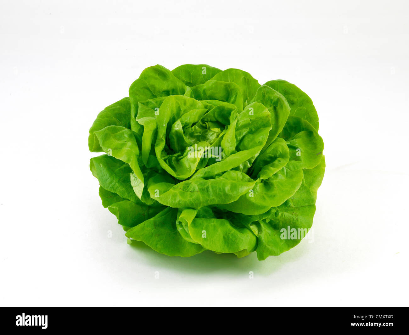Salat Stockfoto