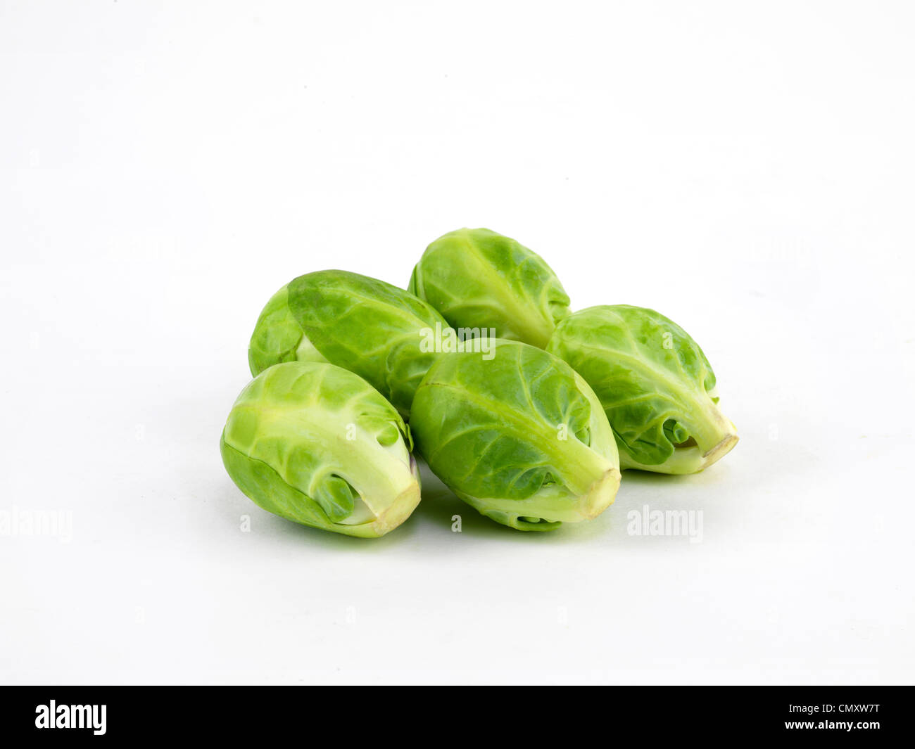 Rosenkohl Stockfoto