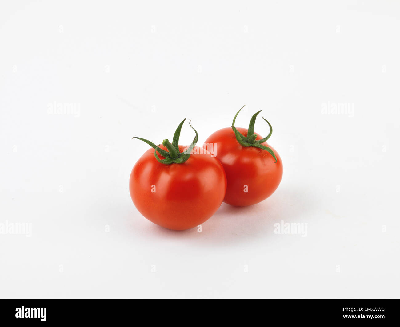 Tomaten (Studio-Foto) Stockfoto