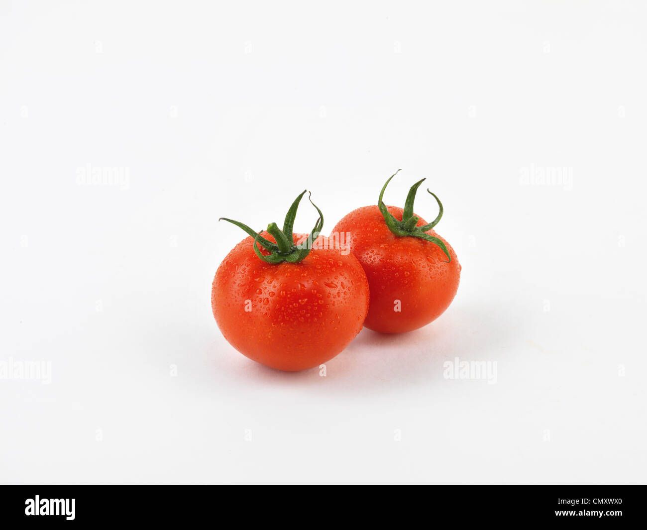 Tomaten (Studio-Foto) Stockfoto