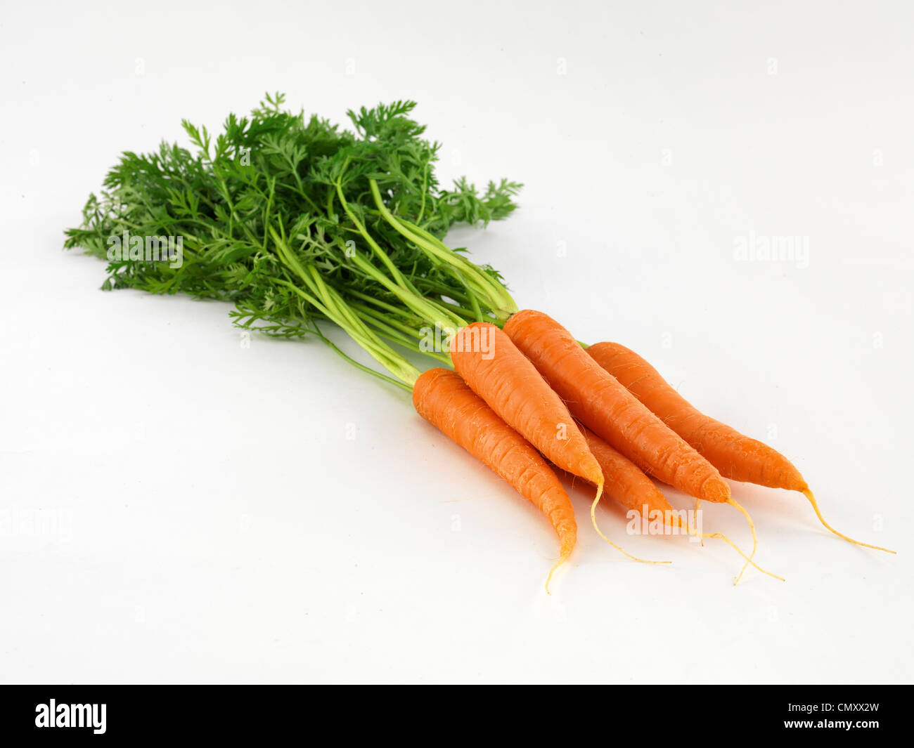 Karotten Stockfoto