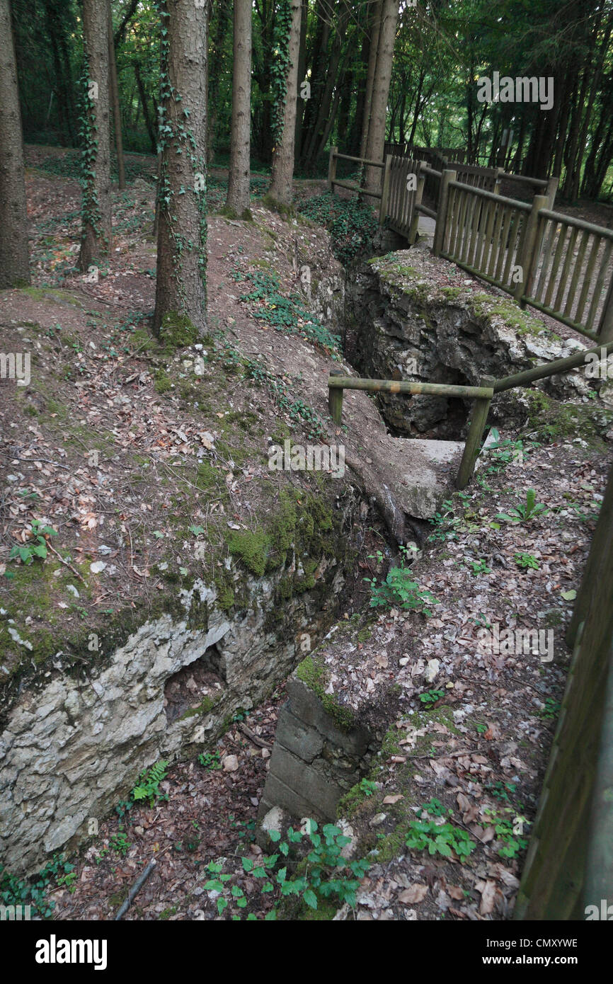 Deutsch erste Welt Krieg Gräben in Bois Brûlé (Holz verbrannt), eine kleine bewaldete Fläche in der Nähe von Apremont, Frankreich. Stockfoto