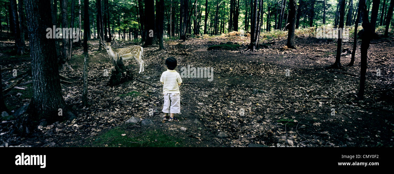 Kleiner Junge mit einem weißen tailed Deer, Omega Park, Montebello, Outaouais, Quebec Stockfoto