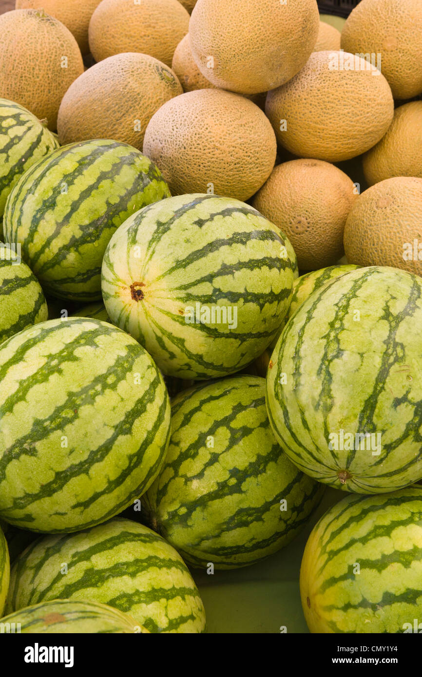 Moschus-Melonen und Wassermelonen Stockfoto