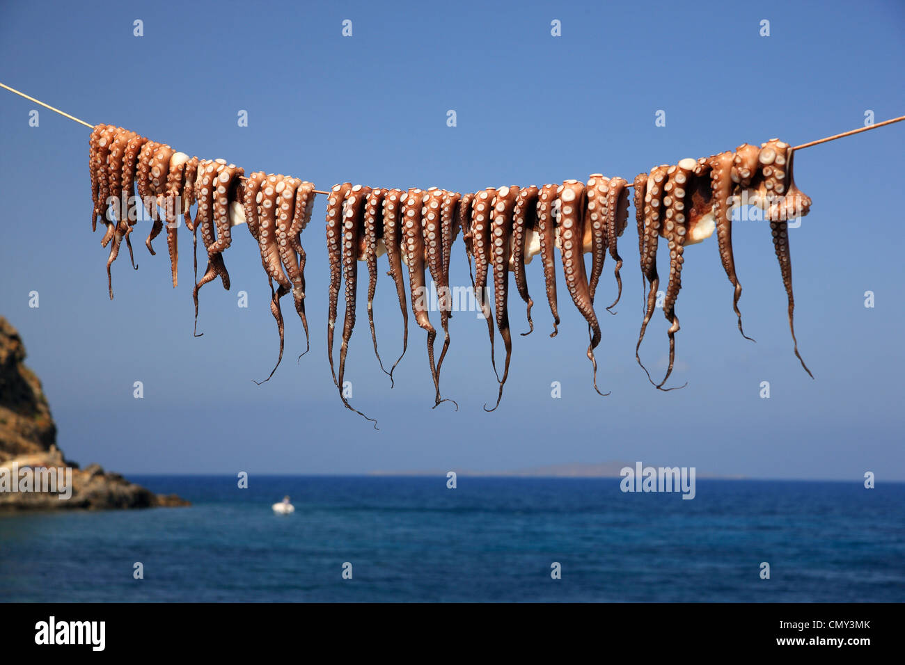 Kraken, trocknen in der Sonne, in Mandraki Dorf "Chora" ("Hauptstadt") der Vulkaninsel Nisyros, Dodekanes, Griechenland Stockfoto