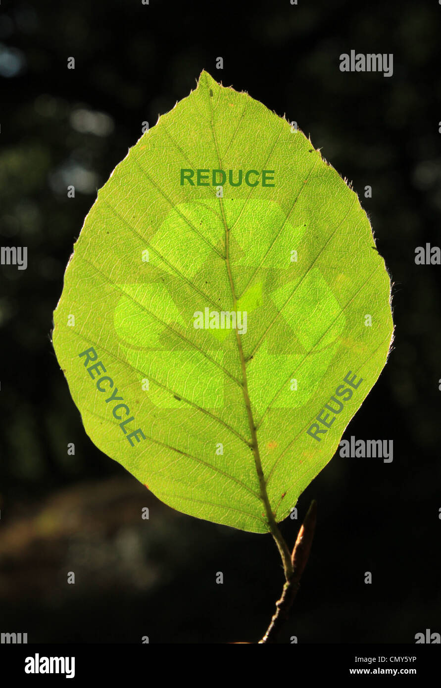 Recycling-Motiv zu reduzieren, Wiederverwendung, Recycling Stockfoto