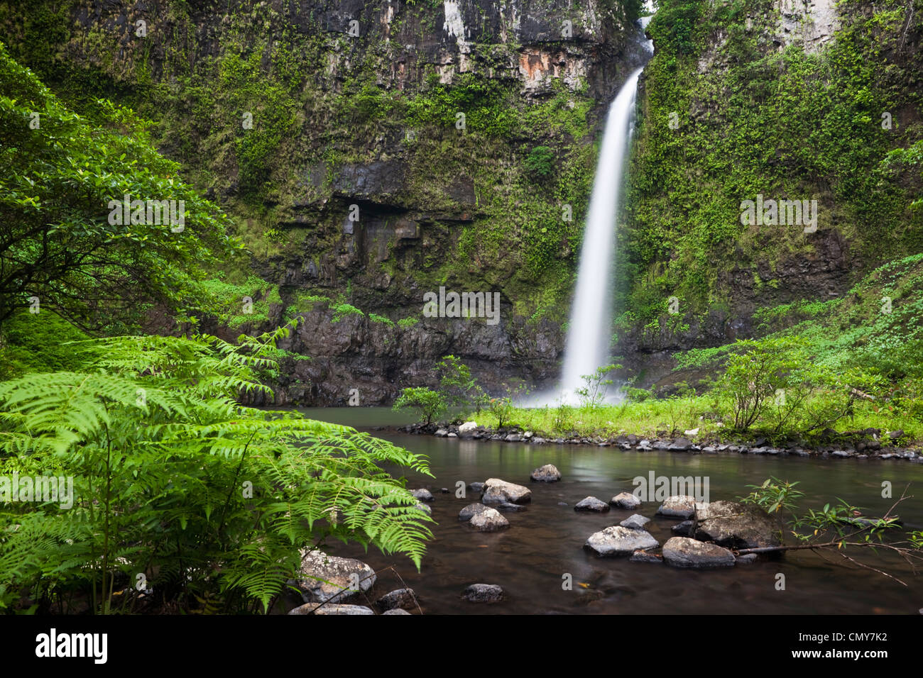 Nandroya fällt im Wooroonooran National Park, Innisfail, Queensland, Australien Stockfoto