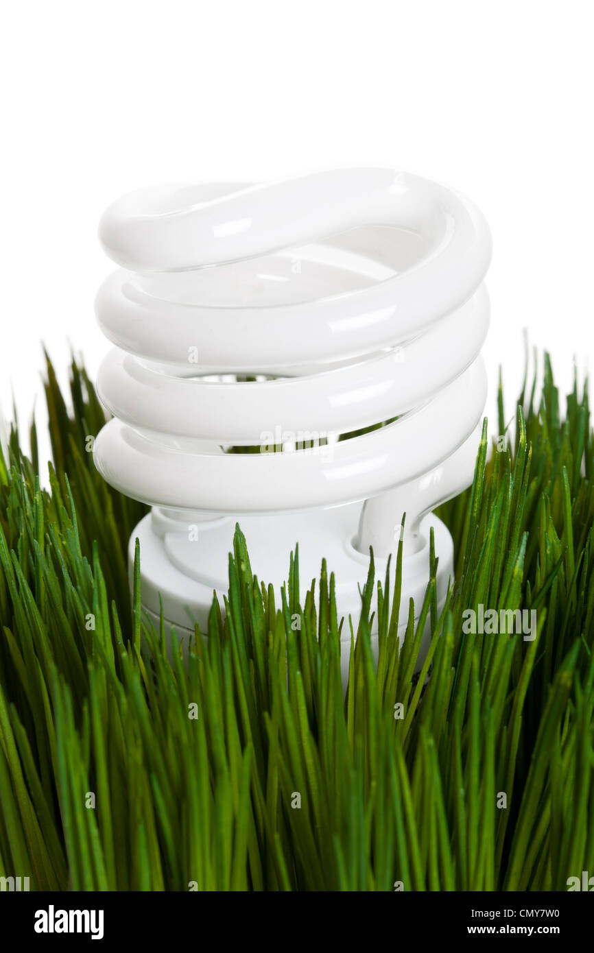 Kompakte Leuchtstoff Glühlampe und grasgrün Stockfoto