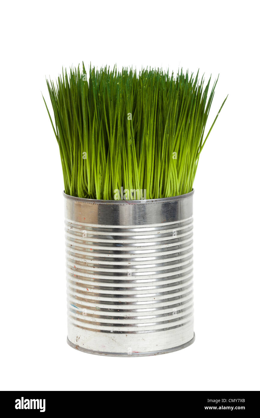 Grasgrün und Metalldose, Konzept der Erhaltung der Umwelt Stockfoto