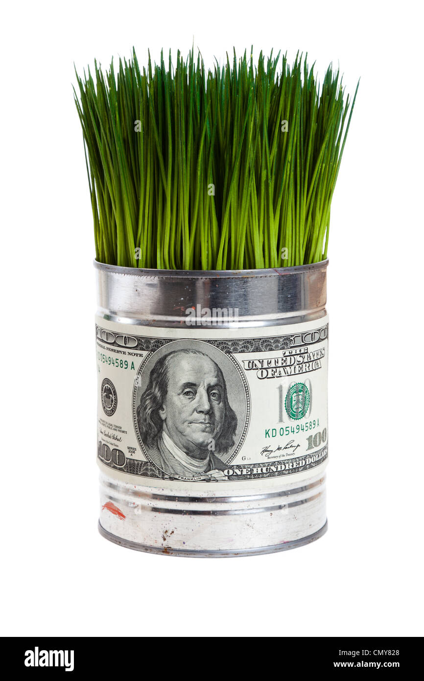 Grasgrün und Dollar, Konzept der Erhaltung der Umwelt Stockfoto