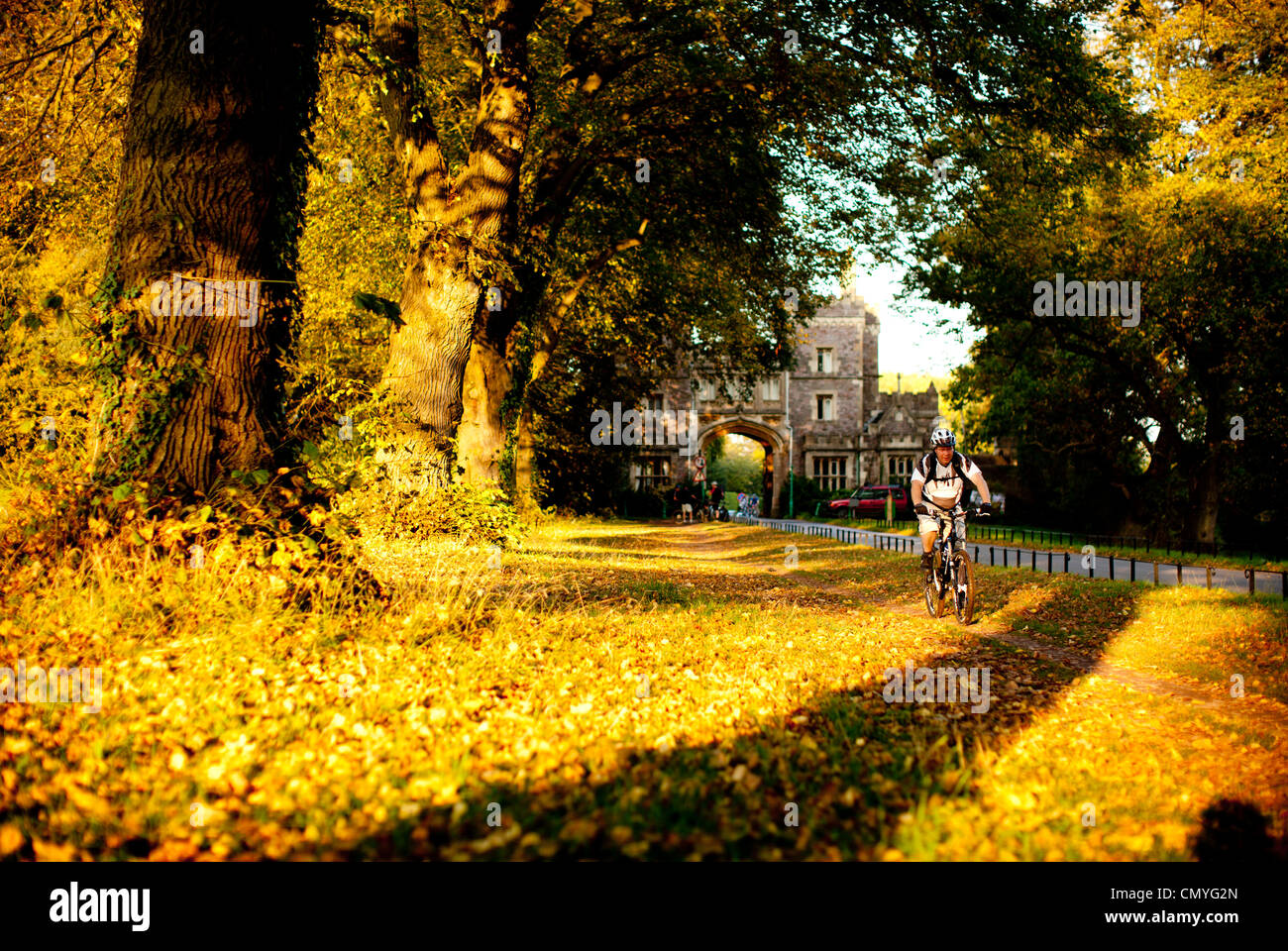 Mountainbike-Radfahrer fahren rund um Ashton Court Radweg während des Sonnenuntergangs in Bristol, England. Mountainbike-Fahrer nutzen den Radweg. Stockfoto