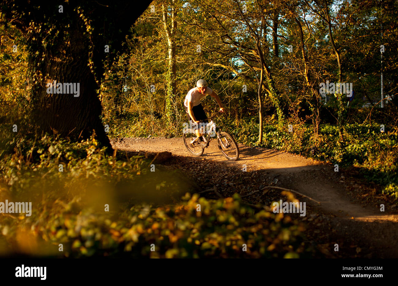 Mountainbike-Radfahrer fahren rund um Ashton Court Radweg während des Sonnenuntergangs in Bristol, England. Mountainbike-Fahrer nutzen den Radweg. Stockfoto