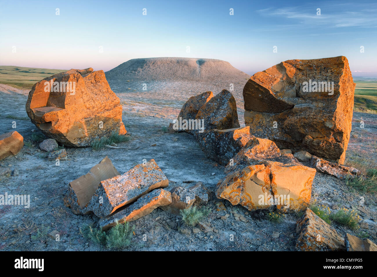 Sandstein-Konkretionen im Red Rock Coulee Naturgebiet in der Nähe von sieben Personen, Alberta Stockfoto