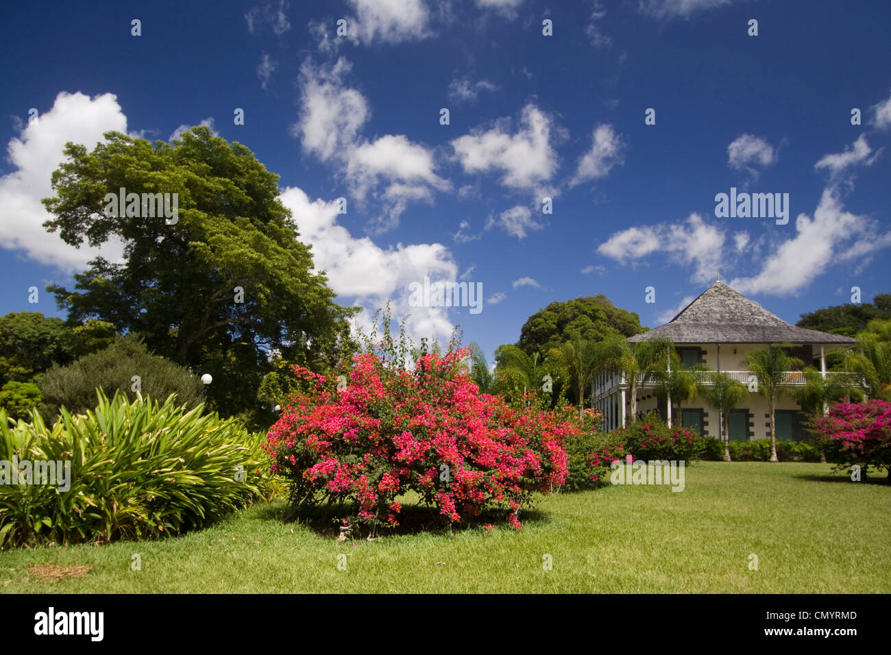 Sir Seewoosagur Ramgoolam königliche Botanische Garten von Pamplemousses, Mauritius, Afrika Stockfoto