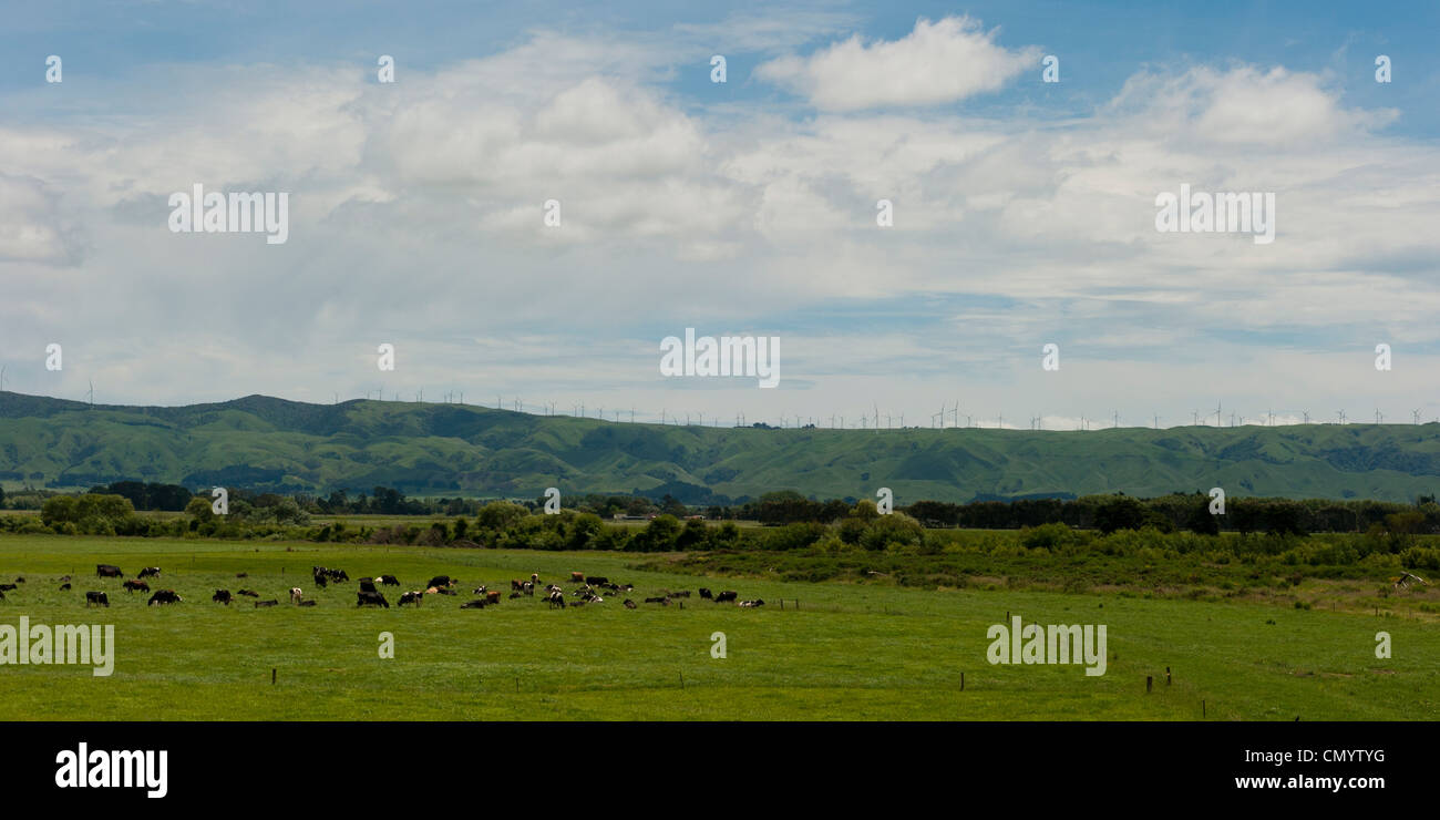 Windpark erstreckt sich entlang der Hügel Tops, gesehen von Woodville in Manawatu-Wanganui Bereich in der Nähe von Palmerston North. Stockfoto