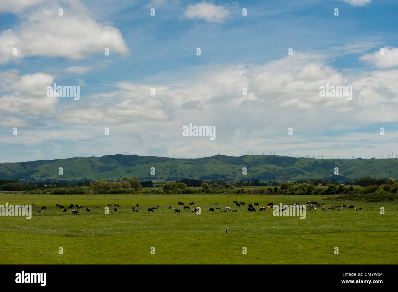 Windpark erstreckt sich entlang der Hügel Tops, gesehen von Woodville in Manawatu-Wanganui Bereich in der Nähe von Palmerston North. Stockfoto