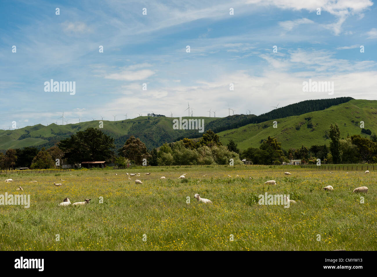 Windpark erstreckt sich entlang der Hügel Tops, gesehen von Woodville in Manawatu-Wanganui Bereich in der Nähe von Palmerston North. Stockfoto