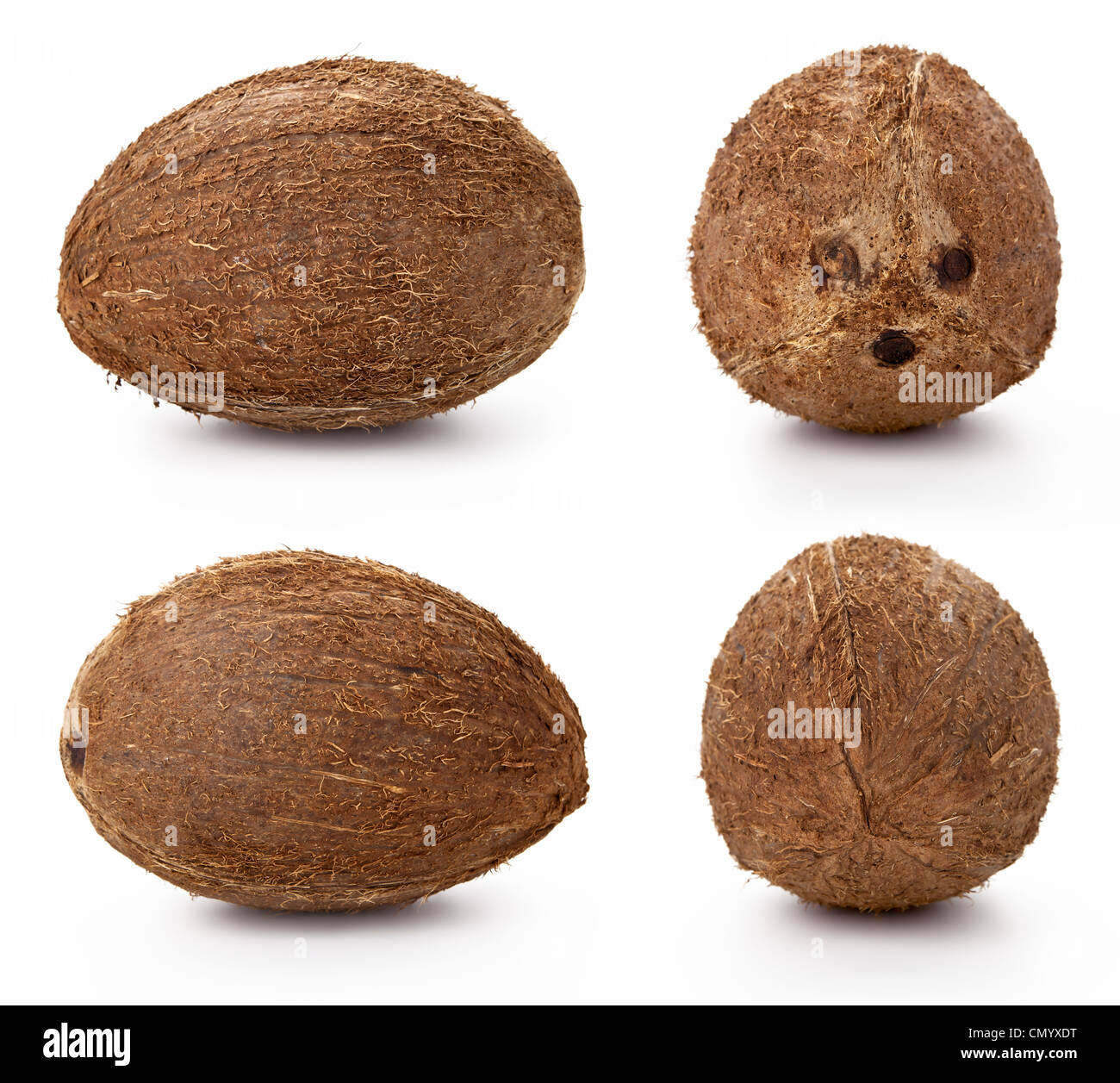 Kokosnuss auf weißem Hintergrund, Studio-Aufnahmen Stockfoto