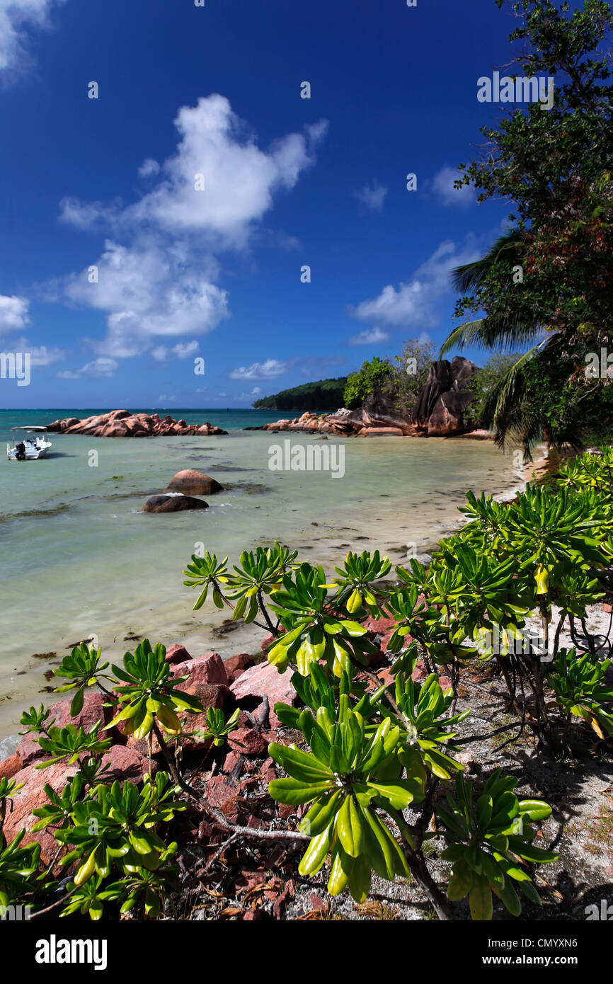Sandy Beach, Baie Ste Anne, Praslin, Seychellen, Indischer Ozean