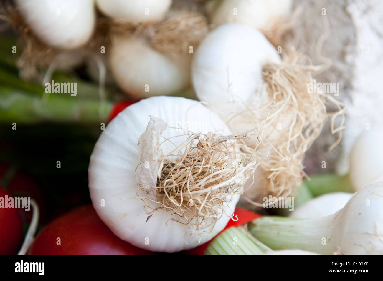 Makroaufnahme von weißen Zwiebeln umgeben von Tomaten auf dem Lebensmittelmarkt. Stockfoto