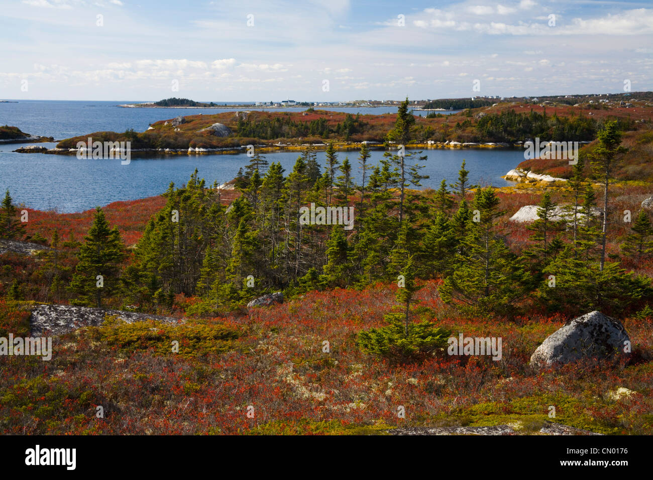 Herbst Coastal Wildnis Brachland mit Blick auf die Verwaltung von Prospect, Nova Scotia Stockfoto