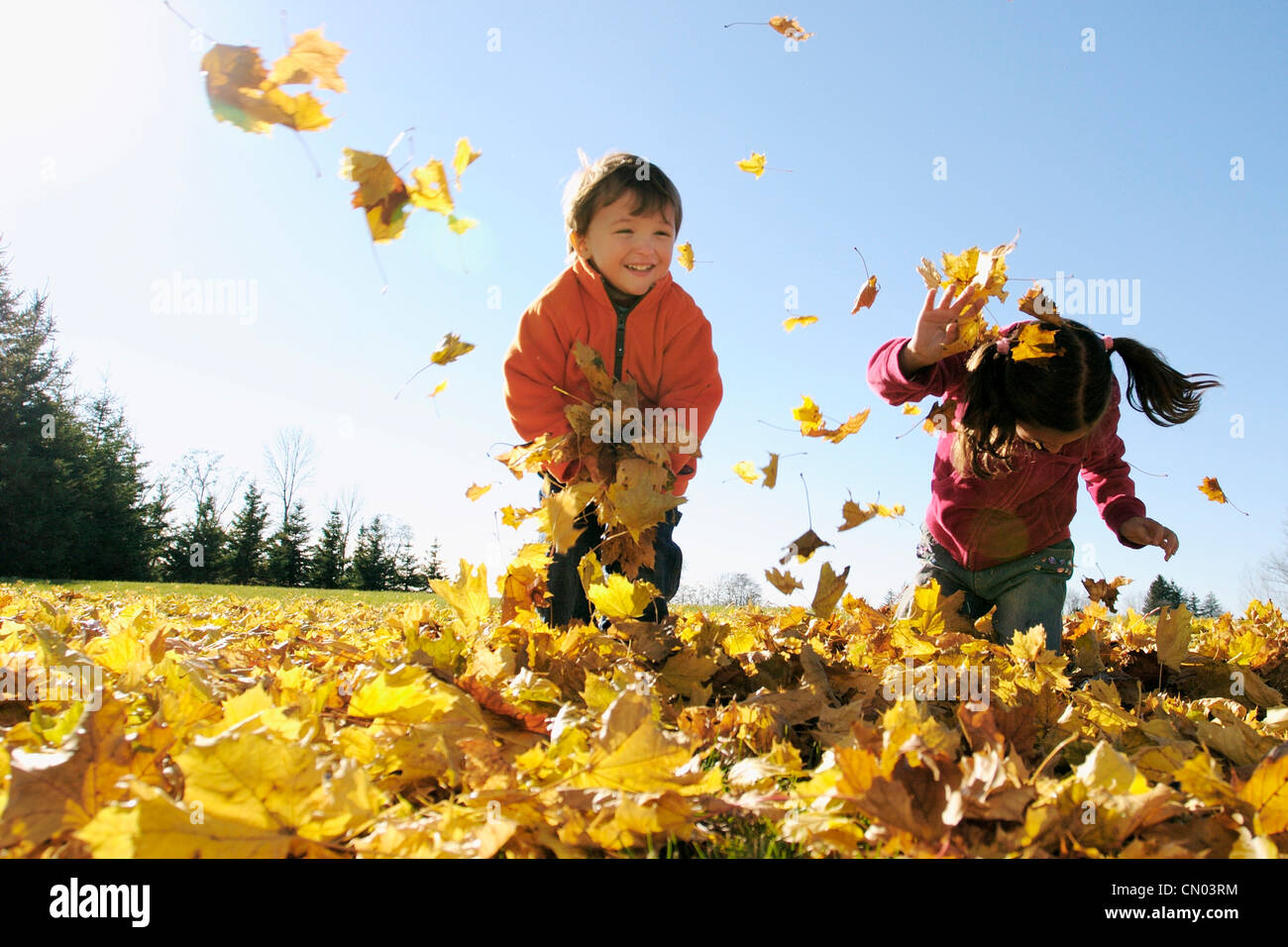 Bruder und Schwester spielen mit Blättern, Aurora, Ontario Stockfoto