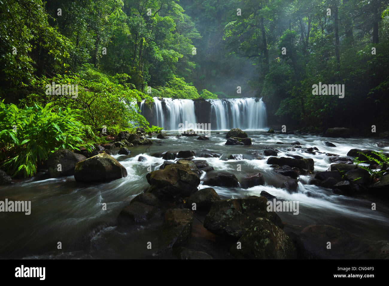 Nandroya fällt im Wooroonooran National Park.  Atherton Tablelands, Innisfail, Queensland, Australien Stockfoto