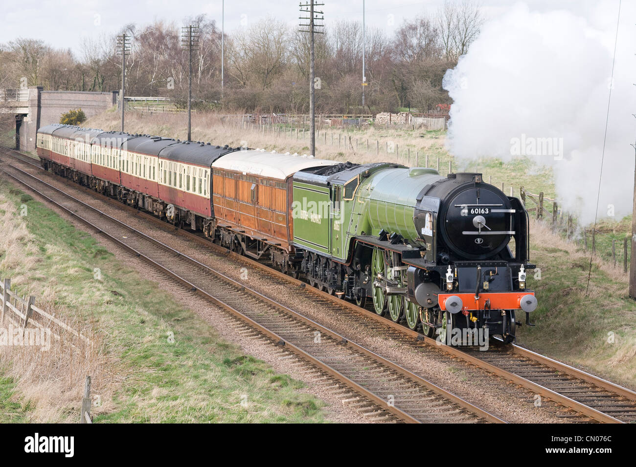 Ziehen einen Personenzug auf der Great Central Railway Dampflok Stockfoto