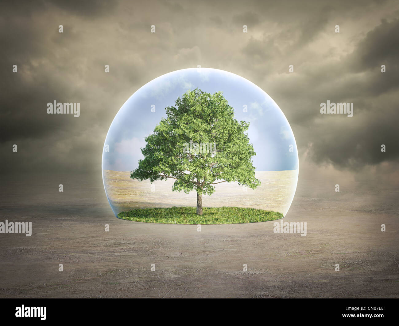 Umweltschutz-Konzept - Baum in einer Blase Stockfoto