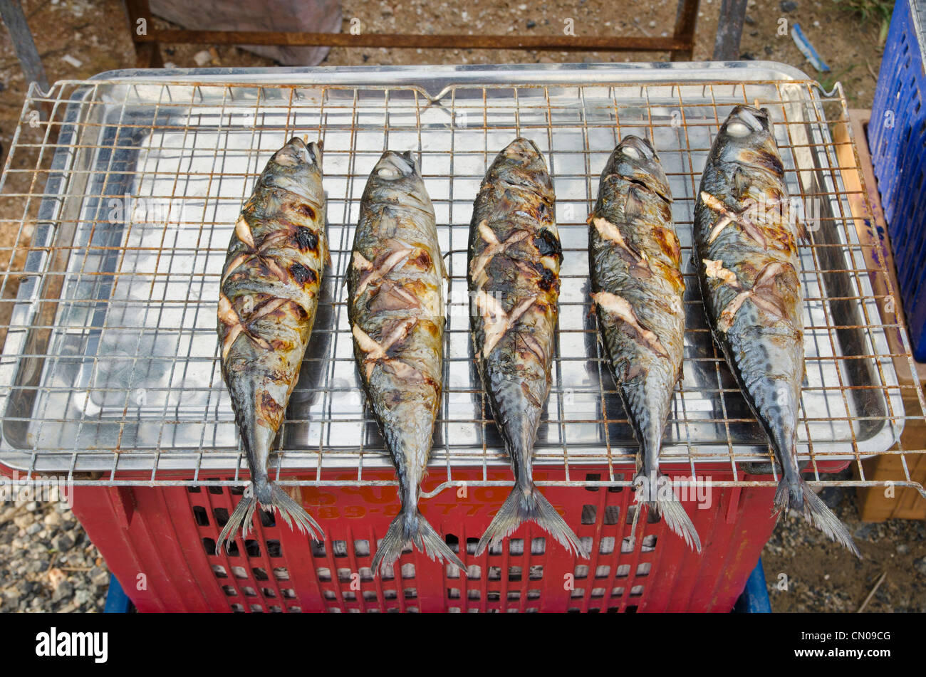 Fisch zum Verkauf an den Freitagsmarkt, Kamala, Phuket, Thailand Stockfoto