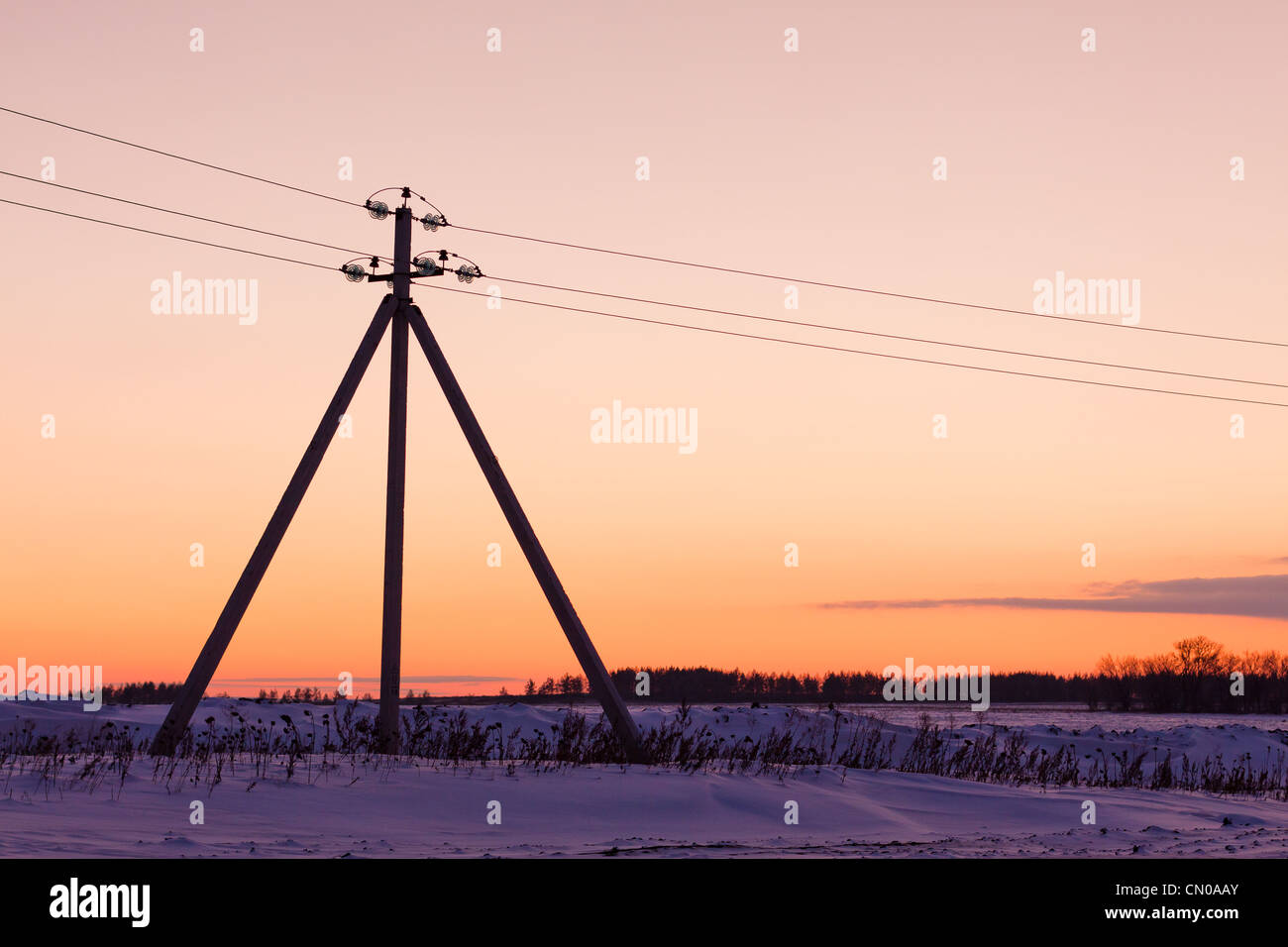 Reliance Stromleitungen in der Winter-steppe Stockfoto
