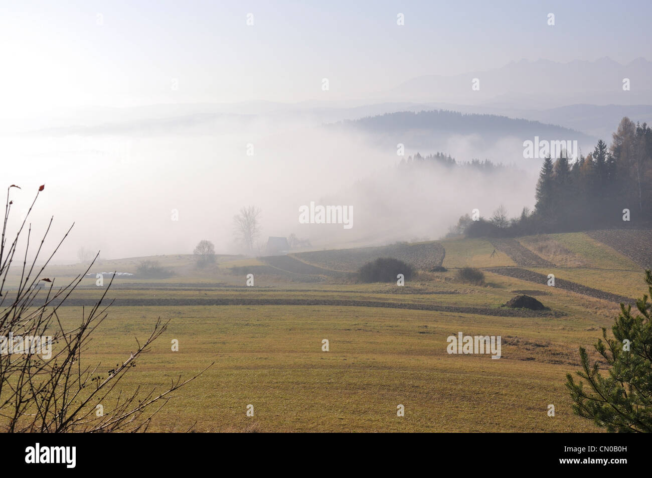 Pieniński Park Narodowy, Polska (Pieniny-Nationalpark, Polen) - polnischen Bergen Stockfoto