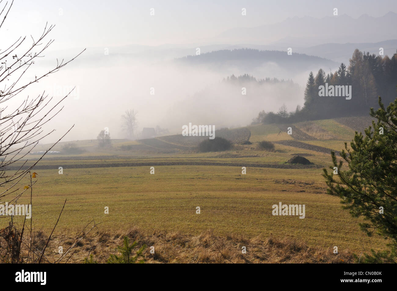 Pieniński Park Narodowy, Polska (Pieniny-Nationalpark, Polen) - polnischen Bergen Stockfoto