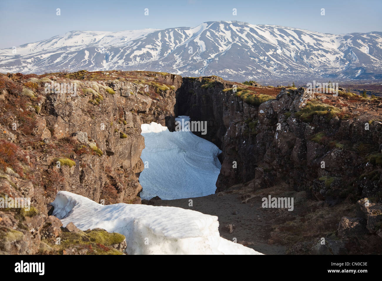 Þingvellir, Thingvellir, Rift tektonischen Bruchlinie, in der Nähe der Halbinsel Reykjanes, Island. Stockfoto