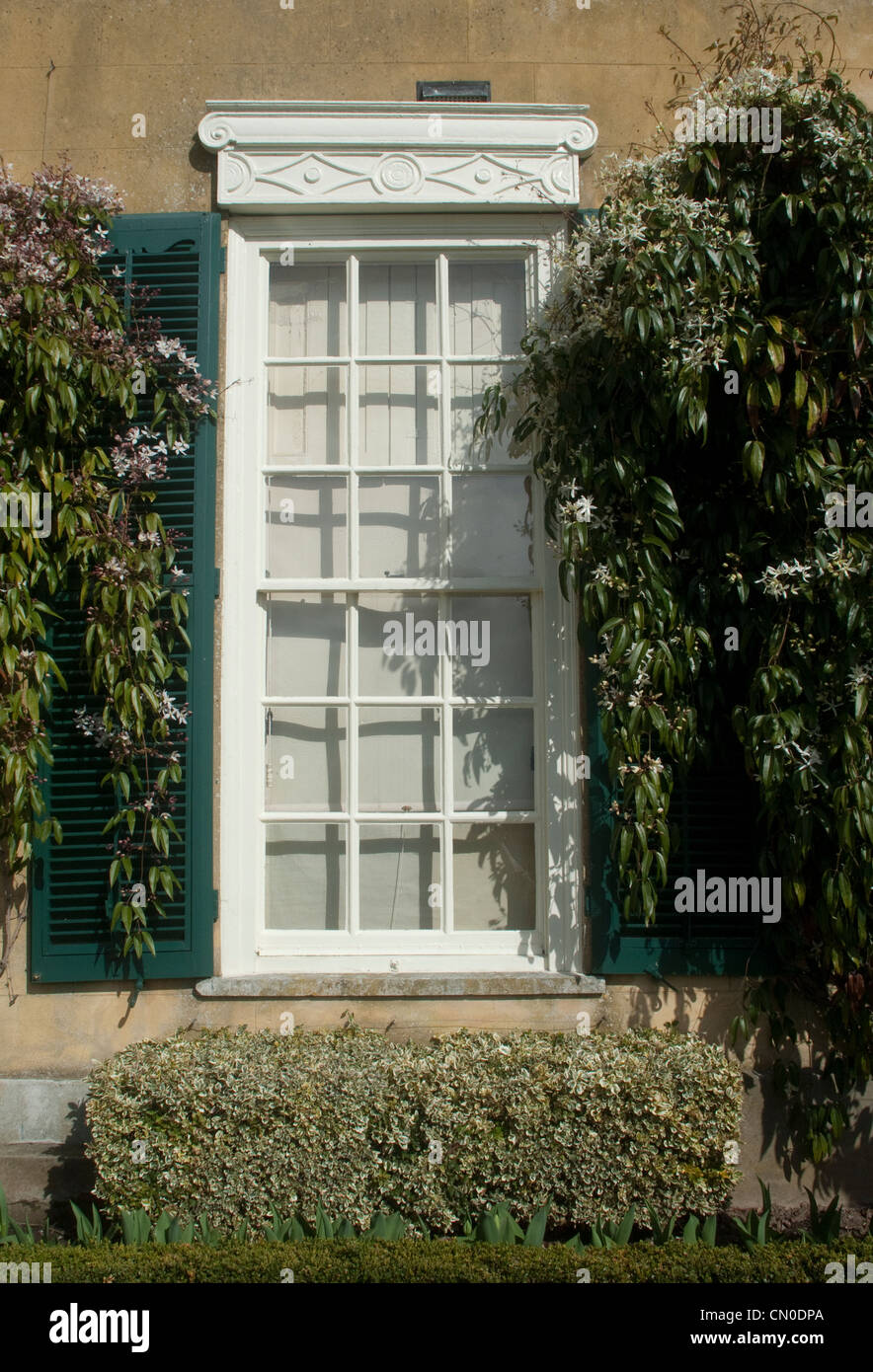 traditionelle Schiebefenster mit Fensterläden und Glyzinien Stockfoto