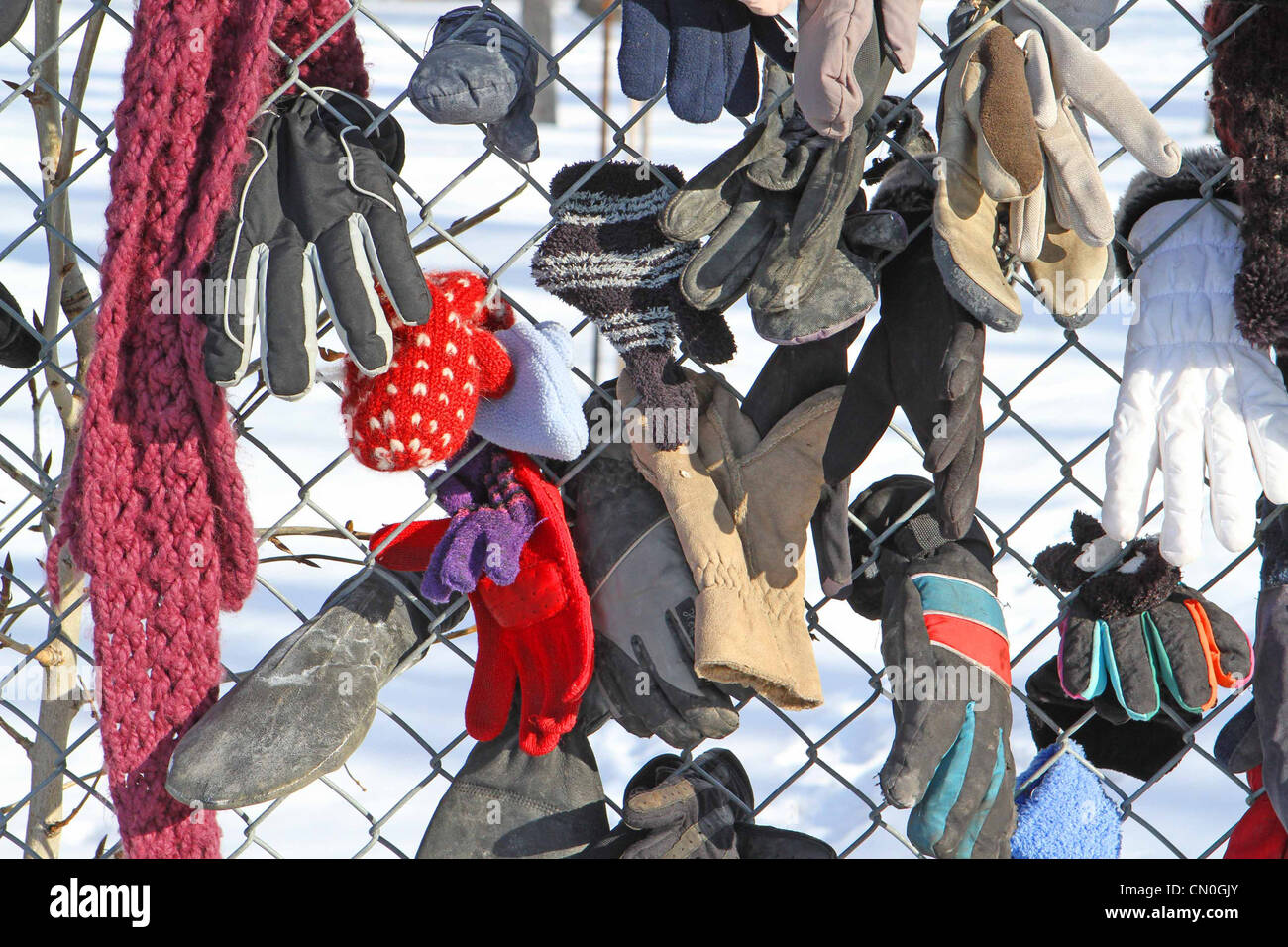 Verloren, Handschuhe und Hüte, die von einem Park Pfad, der einem Maschendrahtzaun befestigt Stockfoto