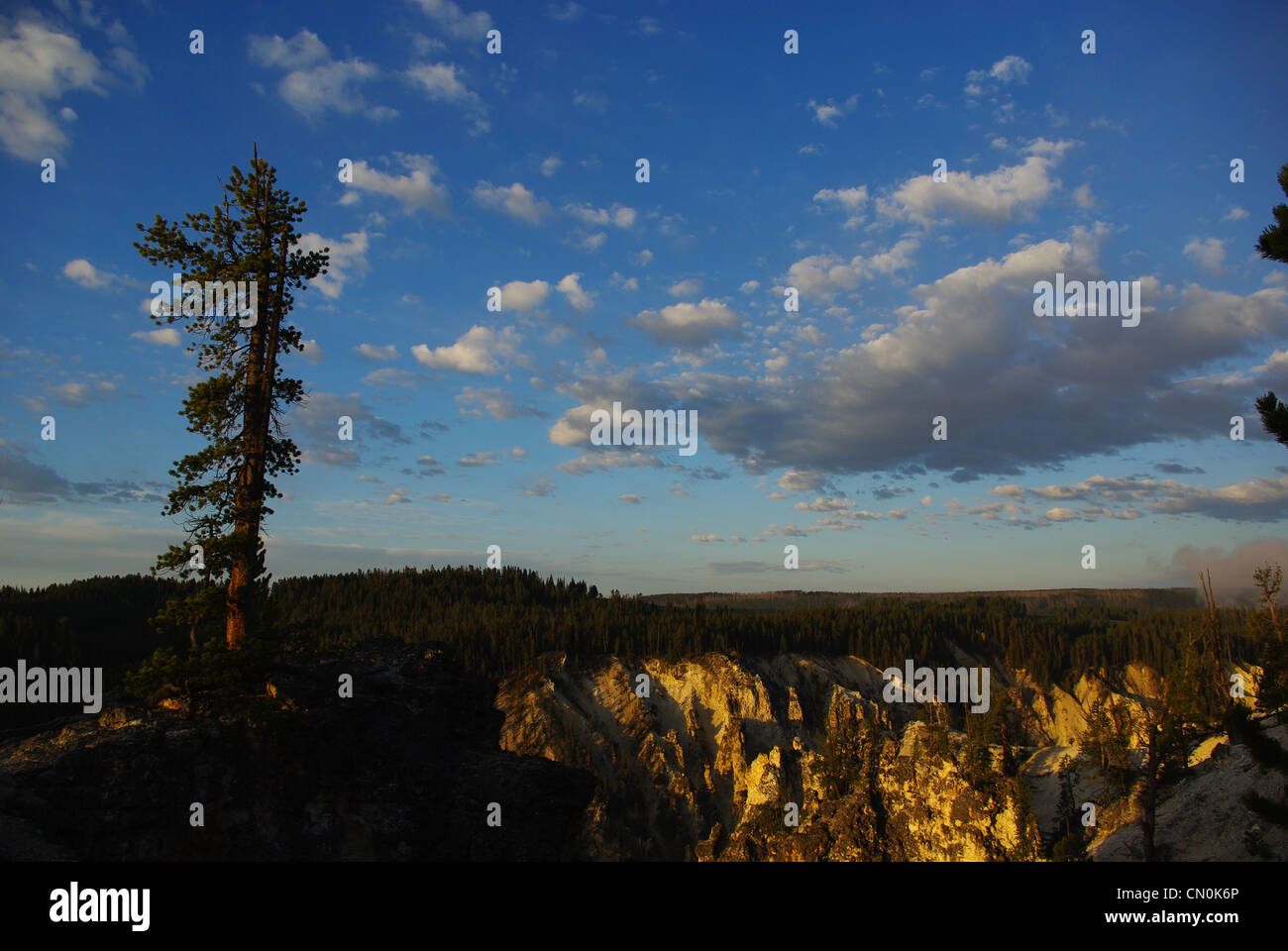 Am frühen Morgen, Grand Canyon of Yellowstone, Wyoming Stockfoto