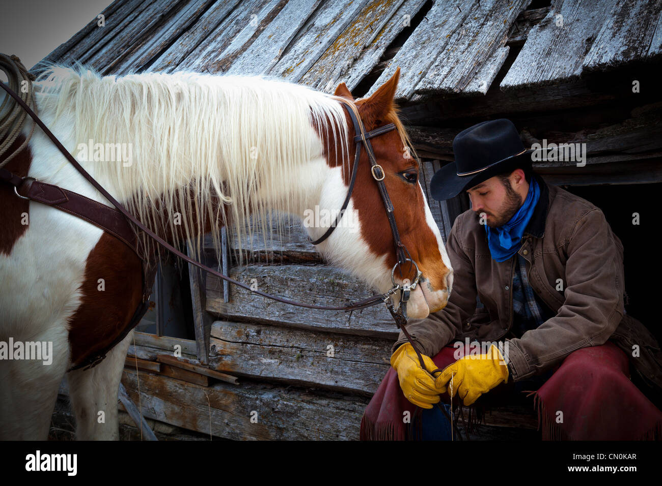 Ein Cowboy und sein Pferd auf einer Ranch im nordöstlichen Wyoming Stockfoto
