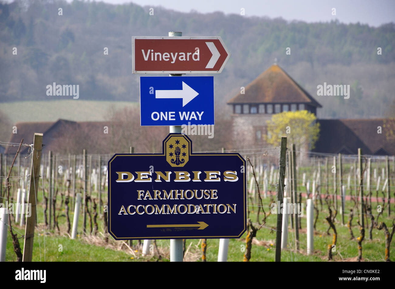 Wegweiser am Denbies Wine Estate, Dorking, Surrey, Vereinigtes Königreich Stockfoto