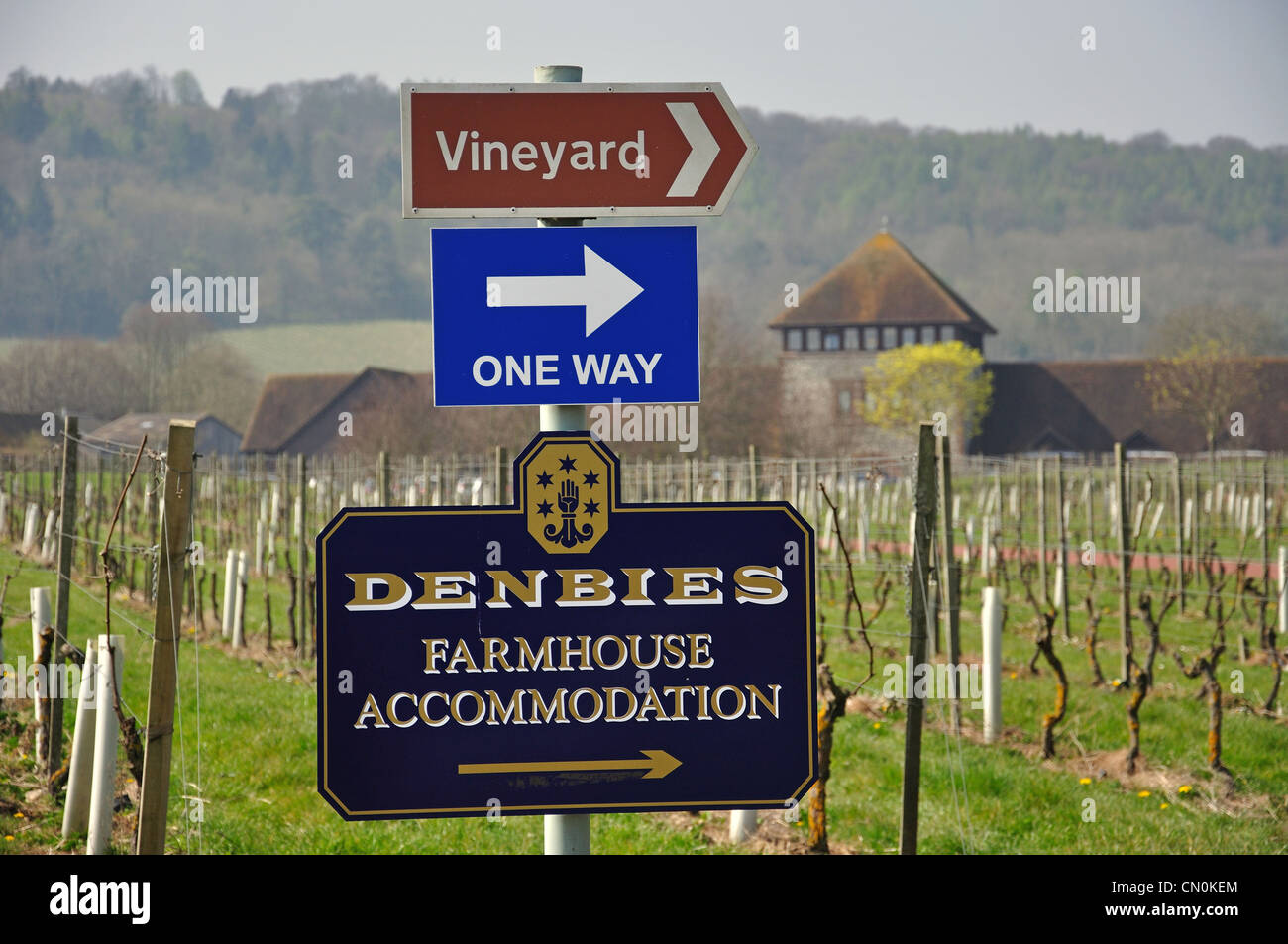 Wegweiser am Denbies Wine Estate, Dorking, Surrey, Vereinigtes Königreich Stockfoto