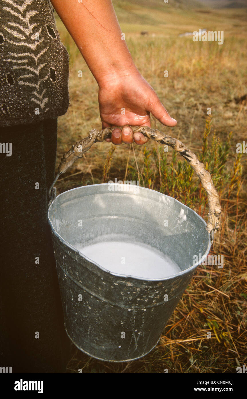 Kirgisische Frau hält einen Eimer voller Stute Milch, Kirgisien, Zentralasien Stockfoto